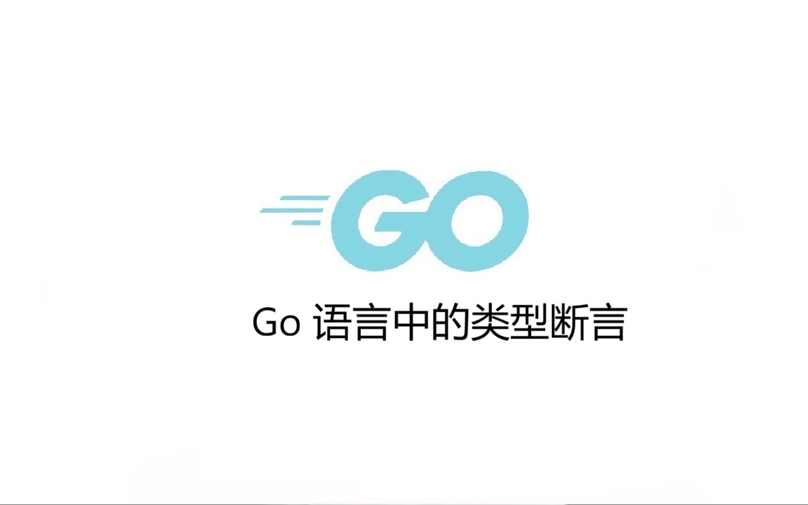 Go 语言中的类型断言：从基础到最佳实践